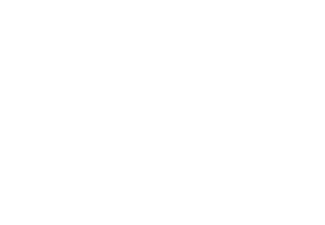 Stone Group International